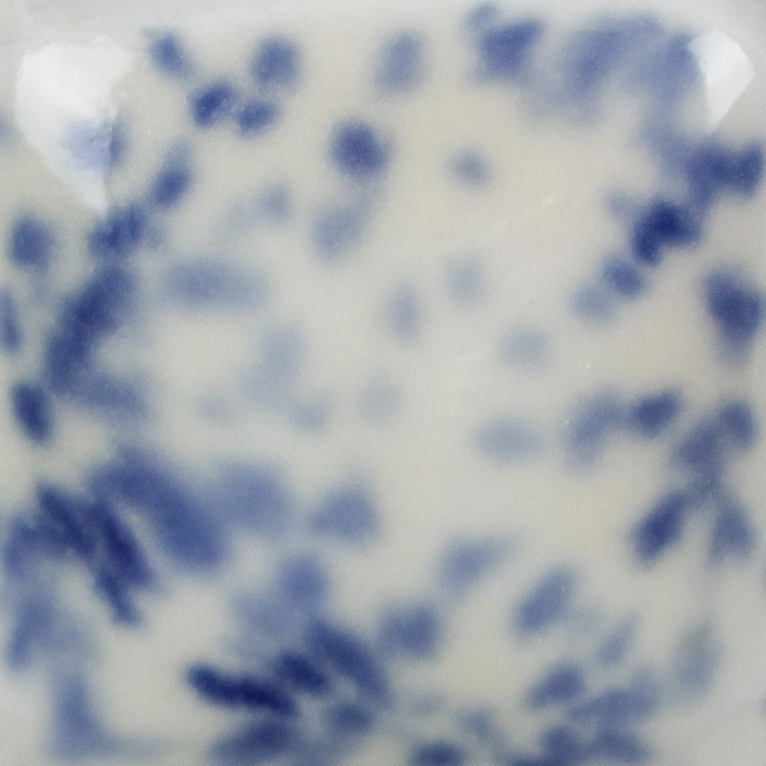 Sp 213 img2
