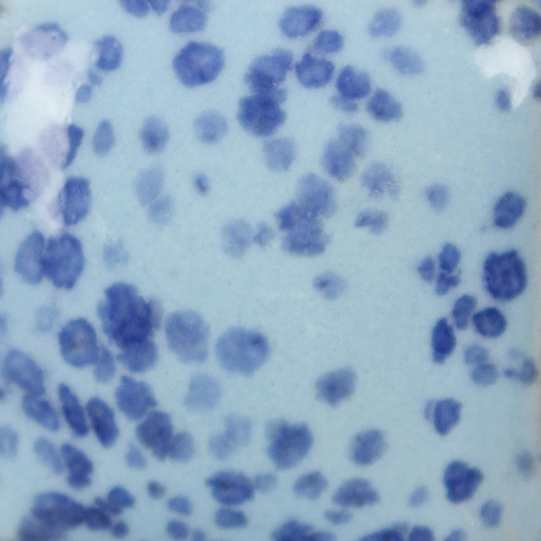 Sp 245 img2