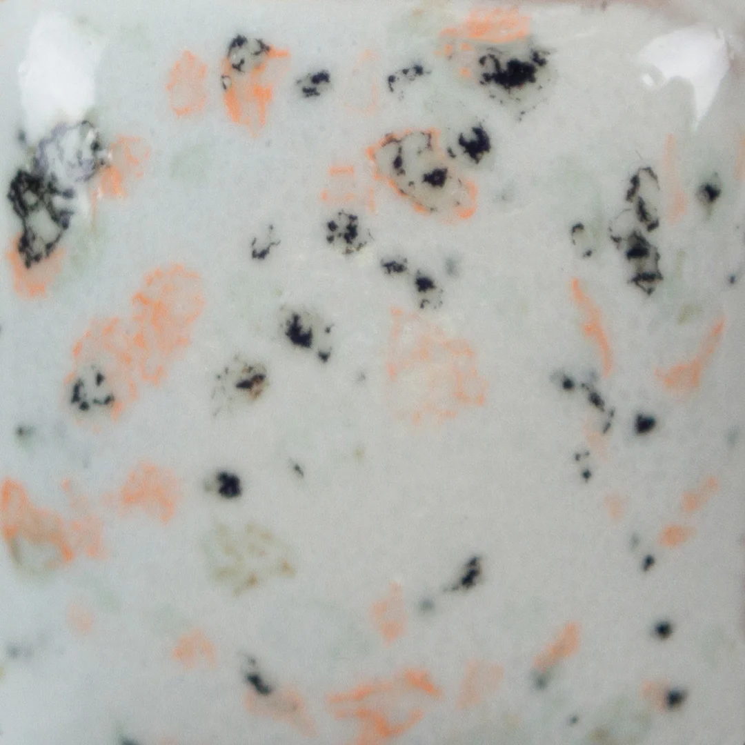 Sp 254 img2