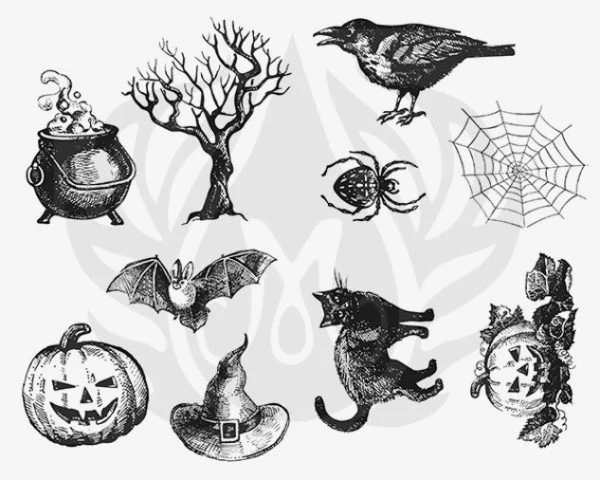 Mayco color khuôn lụa nylon in họa tiết halloween
