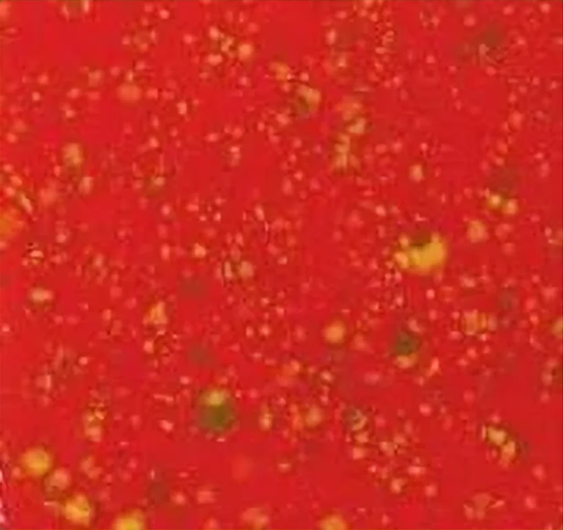 Men gốm mayco colors jungle gemstm, màu fire cracker, 4 oz. (118 ml)