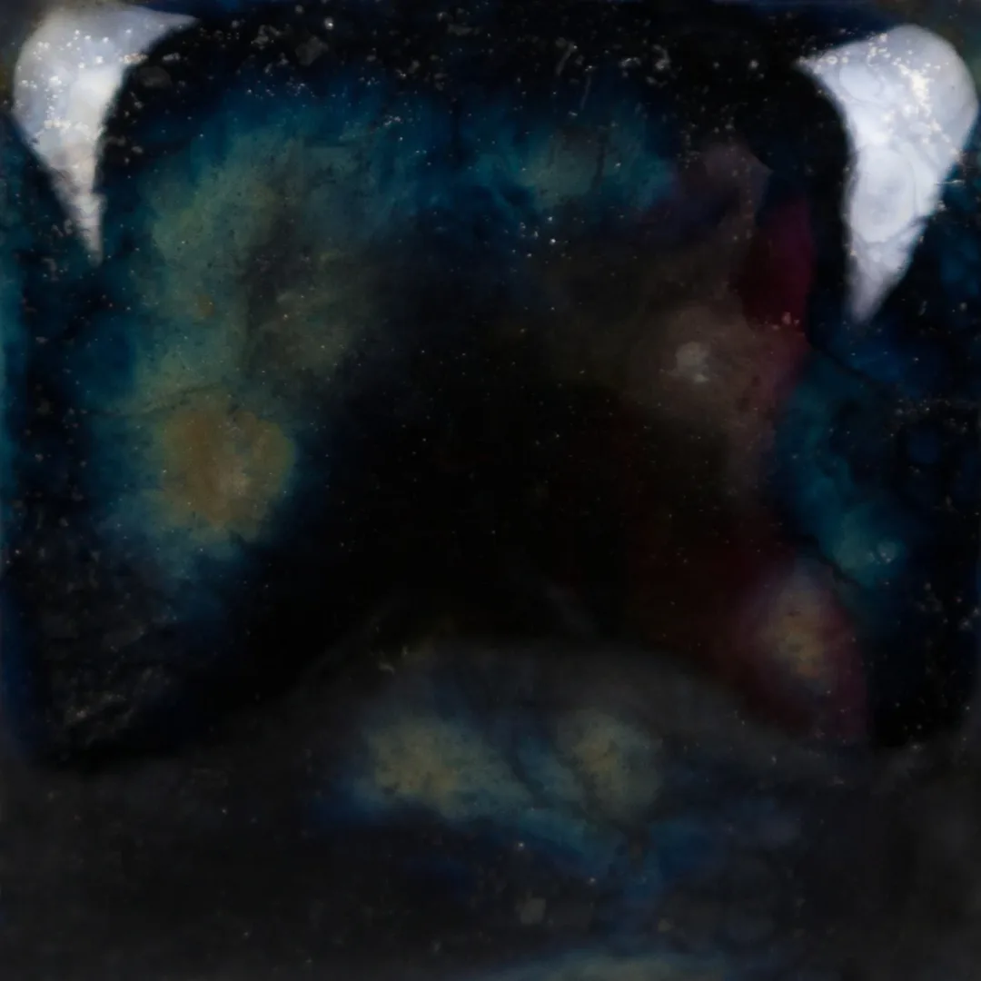 Cg 786 img2